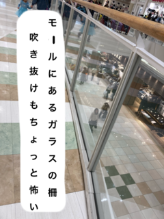 E784A1E9A18C335_20250213070726.png